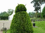 2006-0602-1103-36.jpg